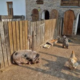 Zichy Park Hotel Bikács - Egyéb