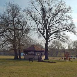 Zichy Park Hotel Bikács - Medence/kert