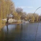 Zichy Park Hotel Bikács - Medence/kert