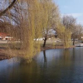 Zichy Park Hotel Bikács - Medence/kert