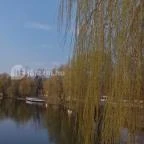 Zichy Park Hotel Bikács - Medence/kert