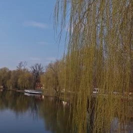 Zichy Park Hotel Bikács - Medence/kert