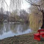 Zichy Park Hotel Bikács - Medence/kert