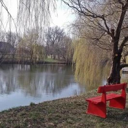 Zichy Park Hotel Bikács - Medence/kert