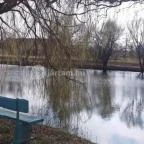 Zichy Park Hotel Bikács - Medence/kert