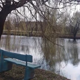 Zichy Park Hotel Bikács - Medence/kert