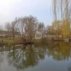 Zichy Park Hotel Bikács - Medence/kert