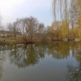 Zichy Park Hotel Bikács - Medence/kert