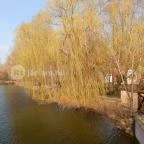 Zichy Park Hotel Bikács - Medence/kert