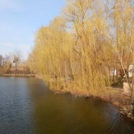 Zichy Park Hotel Bikács - Medence/kert