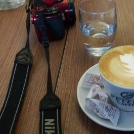 Zöldfa Vendéglő Győr - Étel/ital