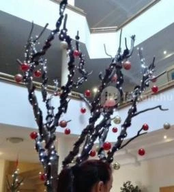 Gyöngyvirág Étterem