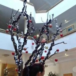 Gyöngyvirág Étterem, Hévíz - Belső