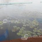 Hunguest Hotel Panoráma Hévíz - Környék