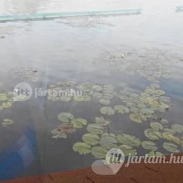 Hunguest Hotel Panoráma, Hévíz - Környék