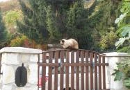 Paulay Borház és Vendégház Tokaj