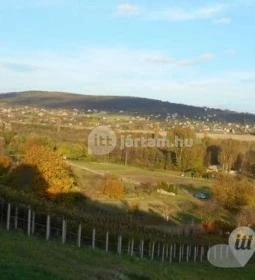 Reblaus Grill és Borozó