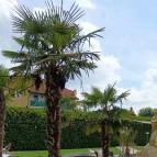 Belenus Thermalhotel Superior Zalakaros - Egyéb