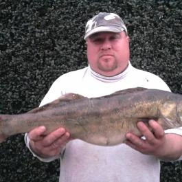 Tiszavirág Apartman Tiszakeszi - Egyéb