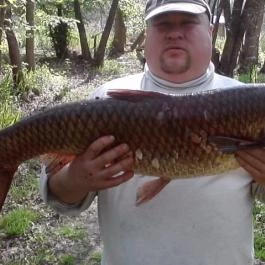 Tiszavirág Apartman Tiszakeszi - Egyéb