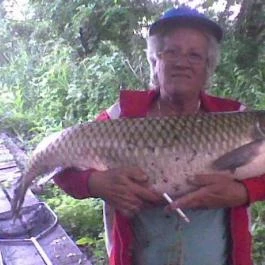 Tiszavirág Apartman Tiszakeszi - Egyéb