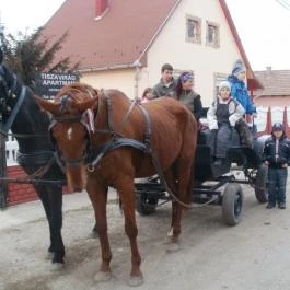 Tiszavirág Apartman Tiszakeszi - Szórakozás/Sport