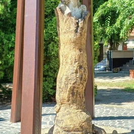 1956-os emlékmű Cegléd - Külső kép