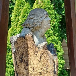 1956-os emlékmű Cegléd - Külső kép