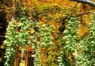 Almássy-palota Budapest