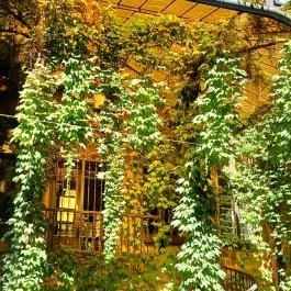 Almássy-palota, Budapest - Egyéb