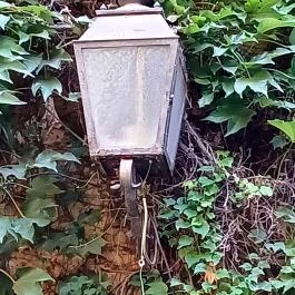 Almássy-palota, Budapest - Egyéb