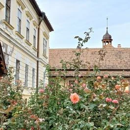 Almásy-kastély, Törökszentmiklós - Egyéb