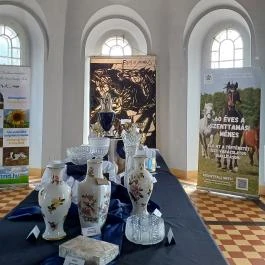 Almásy-kastély, Törökszentmiklós - Egyéb