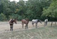 Almásy-kastély Törökszentmiklós