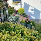 Ara Étterem Mór - Egyéb