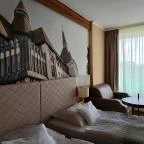 Aranyhomok Hotel Business & Relax Kecskemét - Egyéb