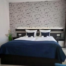 Auris Hotel Szeged, Szeged - Egyéb