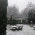 Bagatelle Gardenhouse Hotel Budapest - Medence/kert