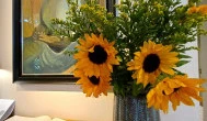 Bagatelle Gardenhouse Hotel, Budapest