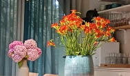 Bagatelle Gardenhouse Hotel, Budapest