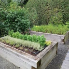 Bagatelle Gardenhouse Hotel Budapest - Medence/kert