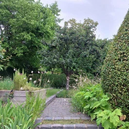 Bagatelle Gardenhouse Hotel Budapest - Medence/kert