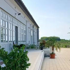 Baghy-Szinyei Merse Kúria Cserkeszőlő - Egyéb
