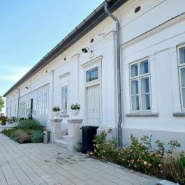 Baghy-Szinyei Merse Kúria, Cserkeszőlő - Egyéb