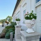 Baghy-Szinyei Merse Kúria Cserkeszőlő - Egyéb