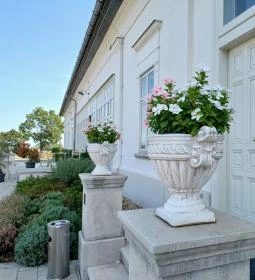 Baghy-Szinyei Merse Kúria