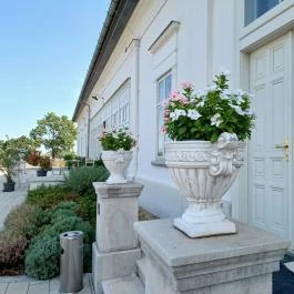 Baghy-Szinyei Merse Kúria, Cserkeszőlő - Egyéb