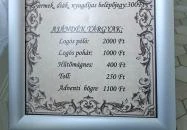 Baghy-Szinyei Merse Kúria Cserkeszőlő