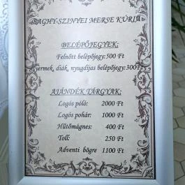 Baghy-Szinyei Merse Kúria, Cserkeszőlő - Egyéb