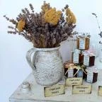 Baghy-Szinyei Merse Kúria Cserkeszőlő - Egyéb